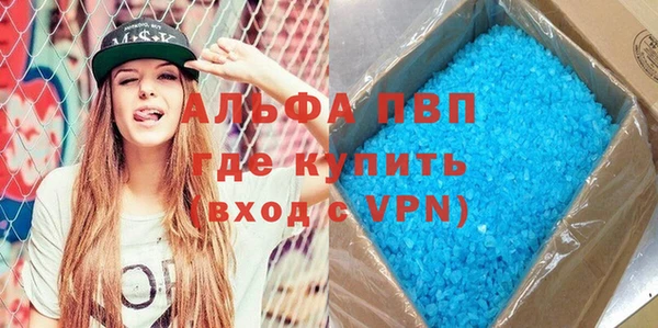 гашик Пестово