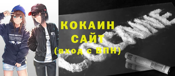 трава Пересвет