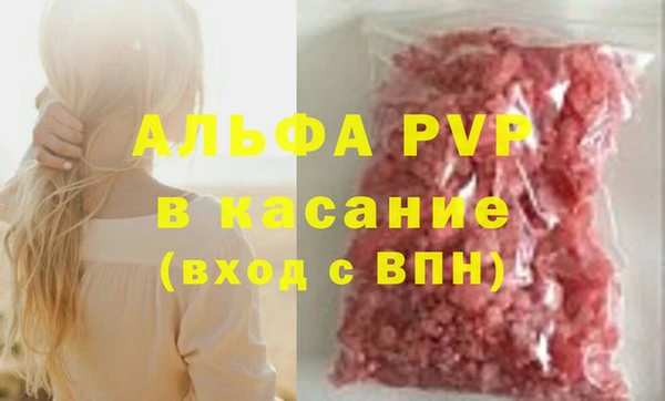гашик Пестово