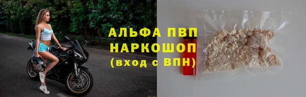 гашик Пестово
