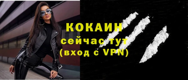 трава Пересвет