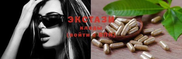 гашик Пестово