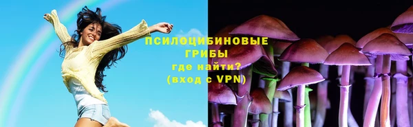 гашик Пестово