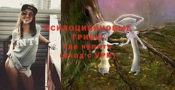 трава Пересвет