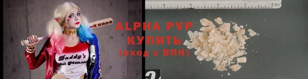 гашик Пестово