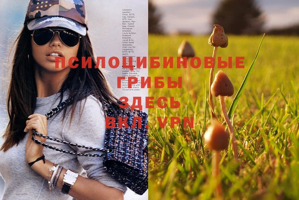 гашик Пестово