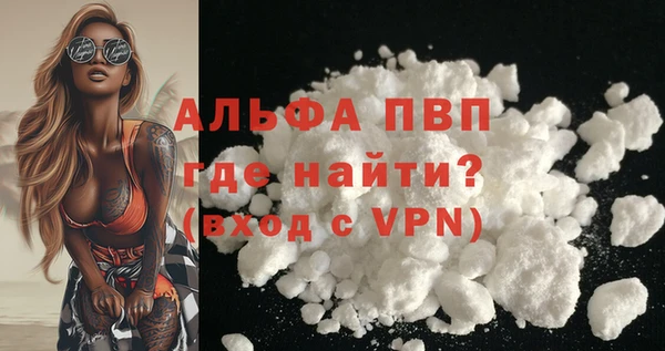 гашик Пестово