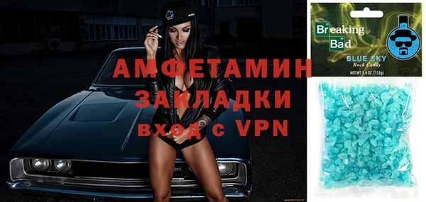 гашик Пестово