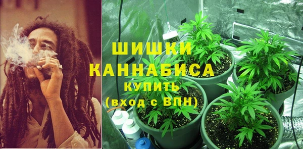 гашик Пестово