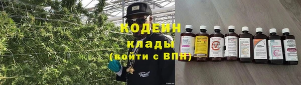 гашик Пестово