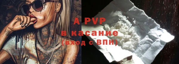 гашик Пестово
