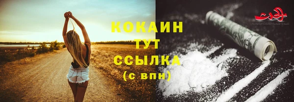 трава Пересвет
