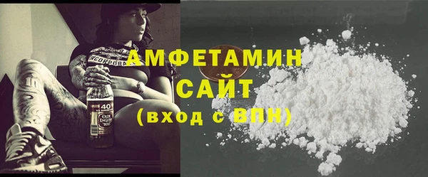 гашик Пестово