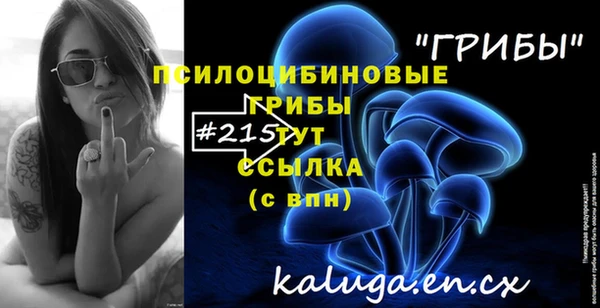 гашик Пестово