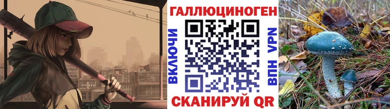 мега онион Александровск Псилоцибиновые грибы GOLDEN TEACHER где продают